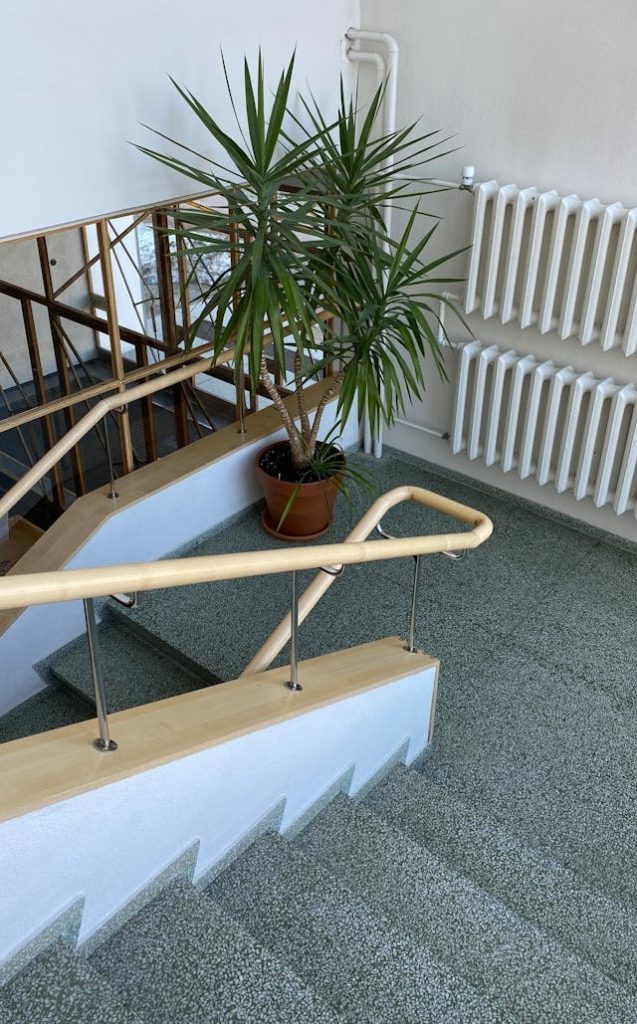 hall immeuble nettoyage copropriétés